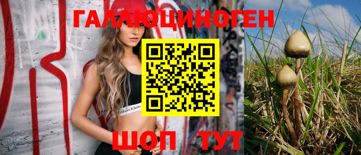 Наро-Фоминск  Галлюциногенные грибы мухоморы  Вход с VPN 