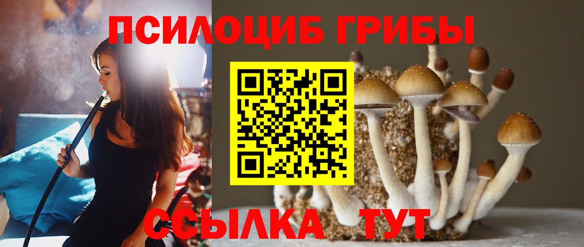 Псилоцибиновые грибы Cubensis Наро-Фоминск